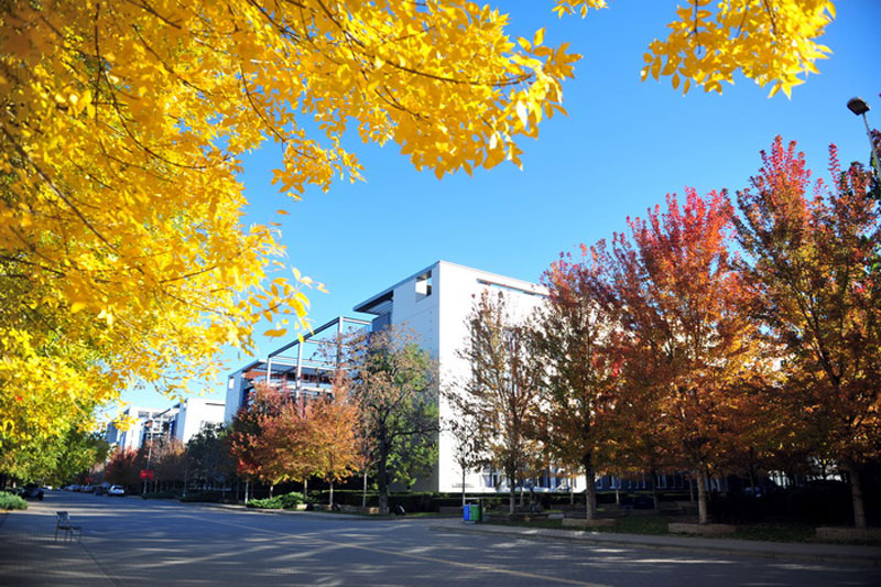 天津财经大学校园风采