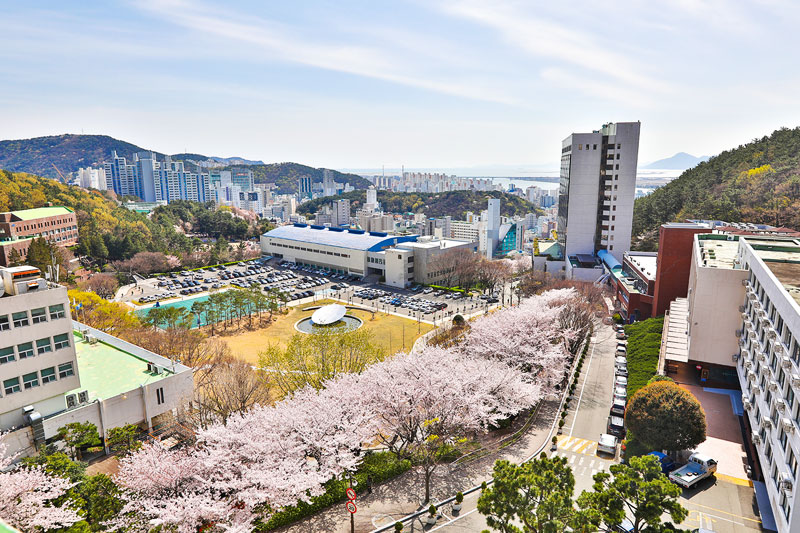 韩国东亚大学校园环境